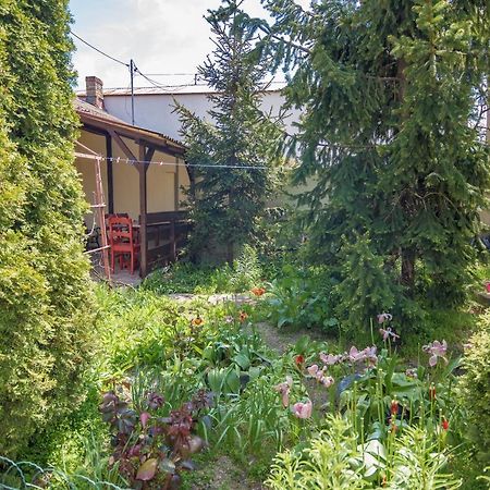 Old House Apartment Vama Veche Exterior foto