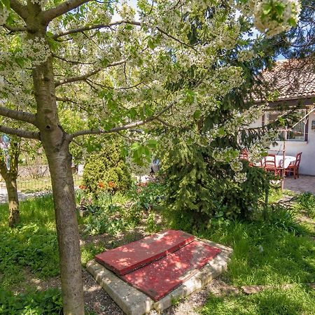 Old House Apartment Vama Veche Exterior foto
