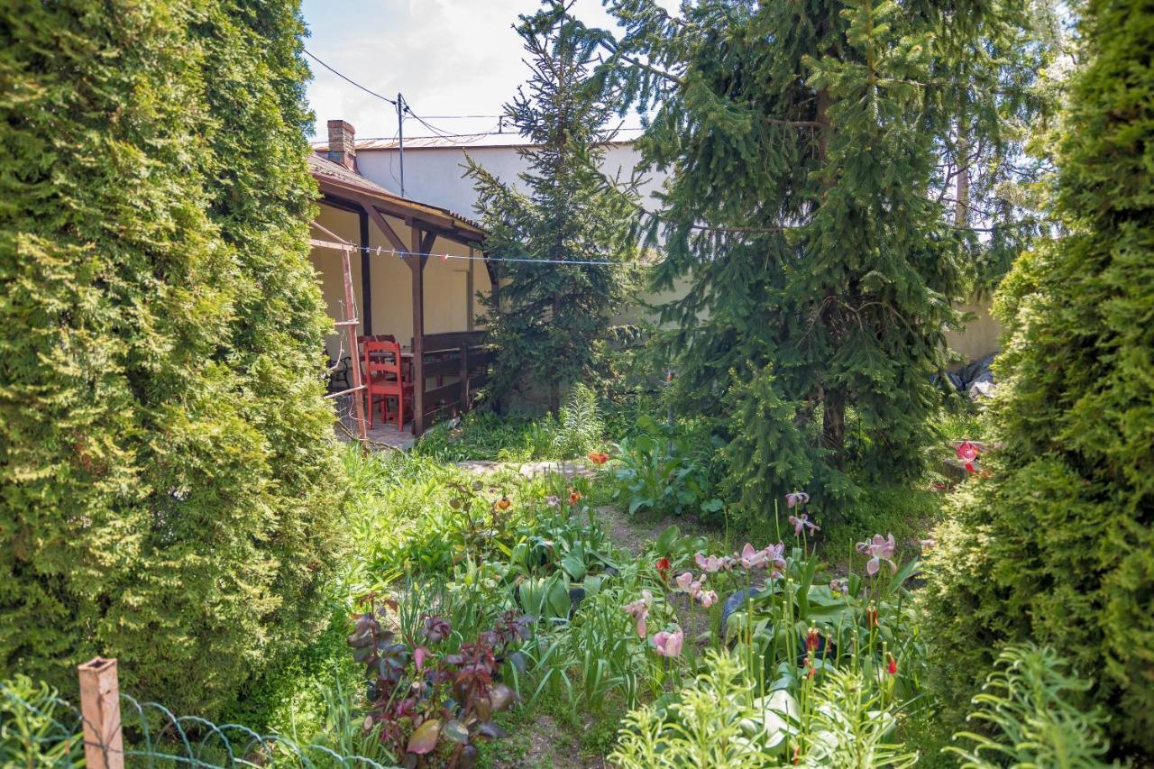 Old House Apartment Vama Veche Exterior foto