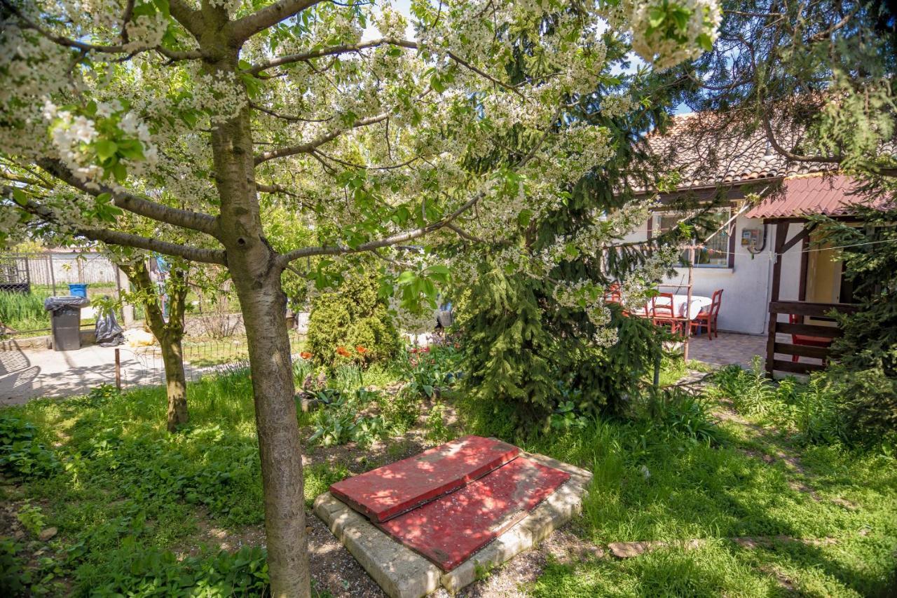 Old House Apartment Vama Veche Exterior foto