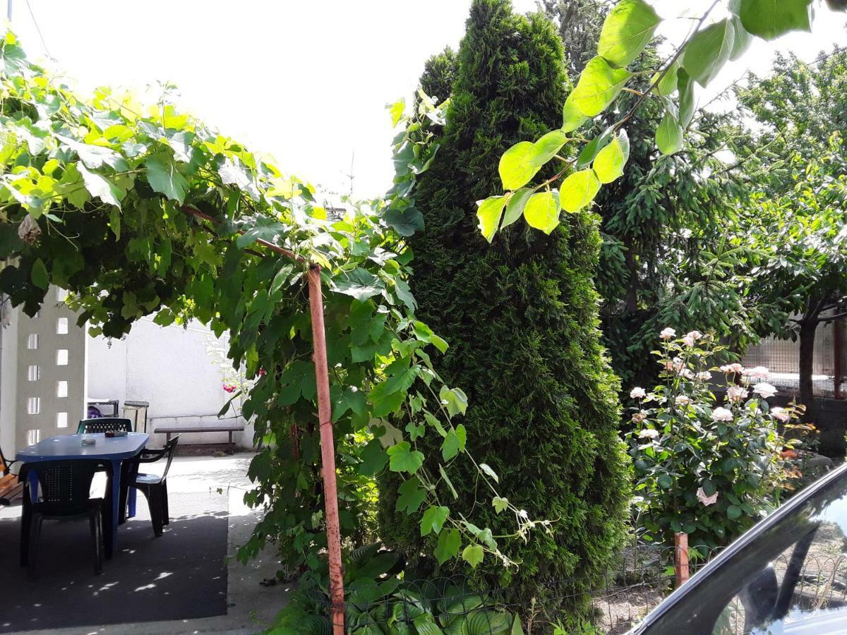 Old House Apartment Vama Veche Exterior foto